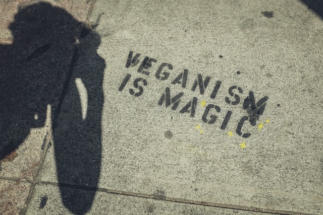 start vegan online store