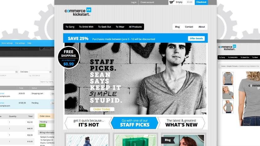 Best ecommerce developer